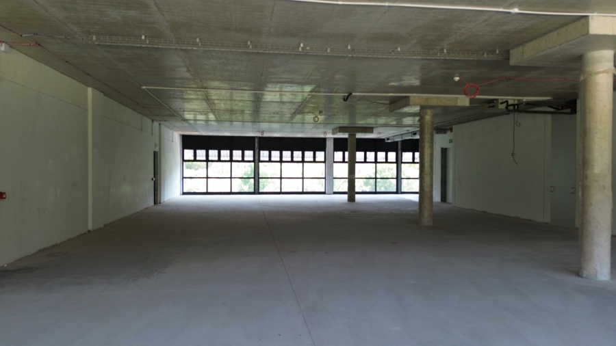 To Let commercial Property for Rent in South End Eastern Cape